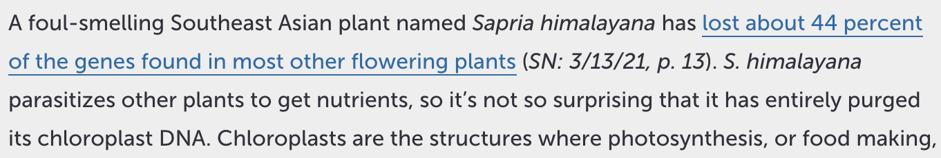 Paragraph with large line-height