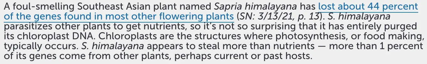 Paragraph with small line-height